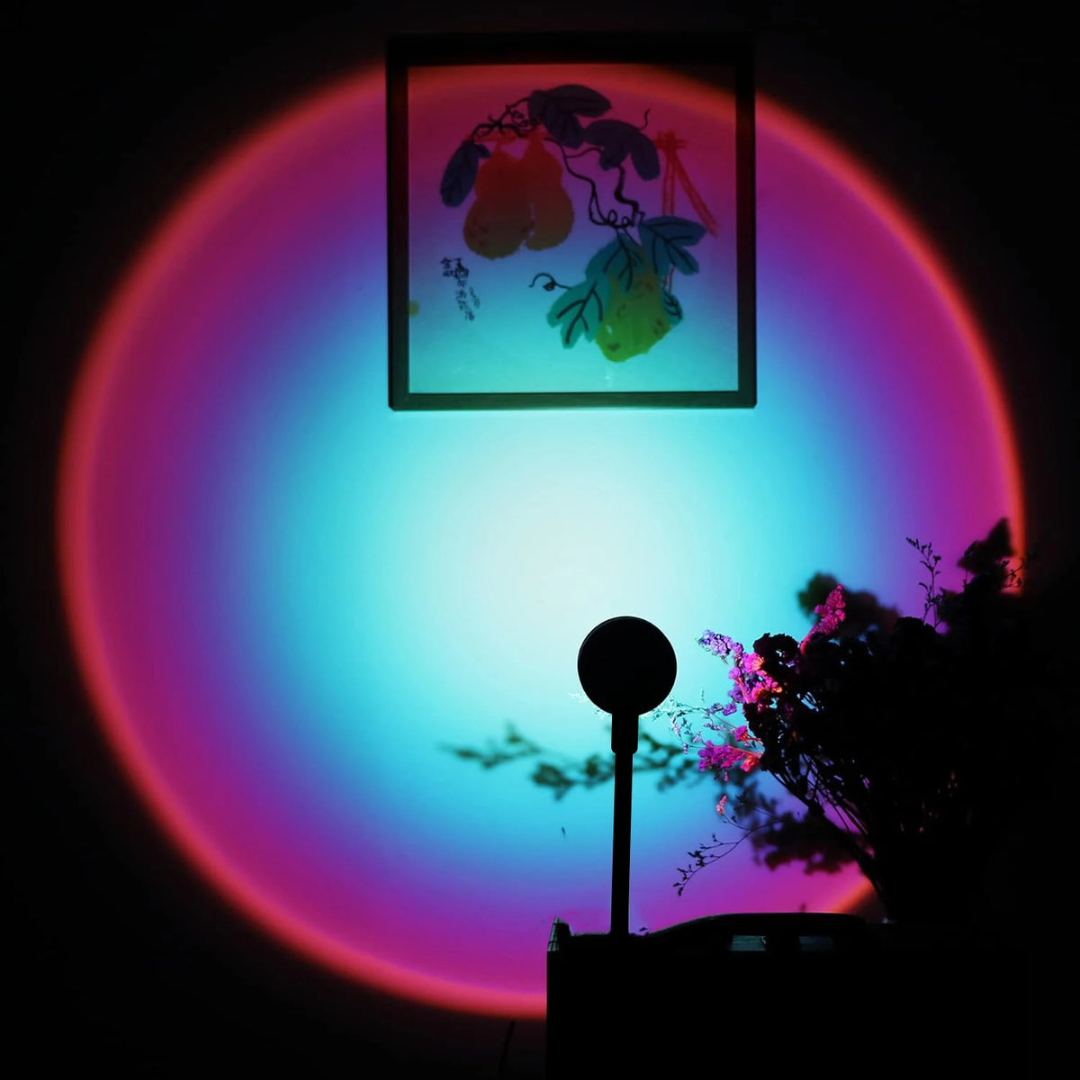 Veilleuse arc-en-ciel – vue d'ensemble